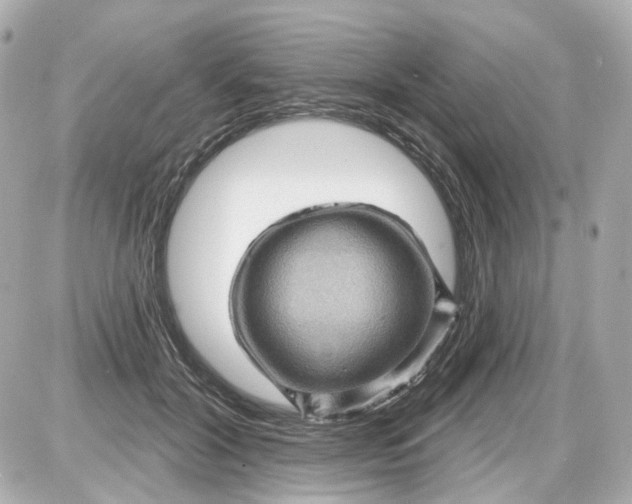 X0000087590604200705112305