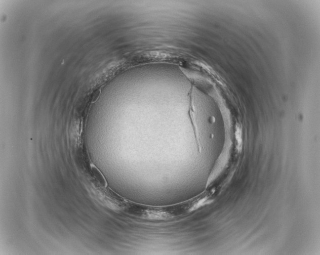 X0000087590605200705112305