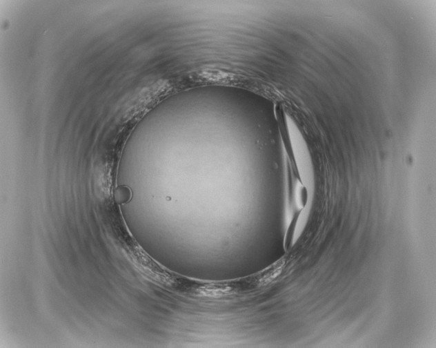 X0000087590606200705112305