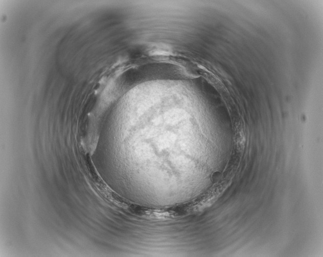 X0000087590607200705112305