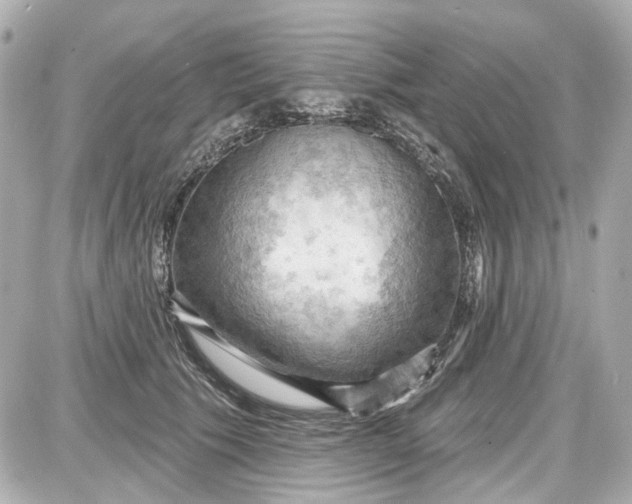 X0000087590609200705112305