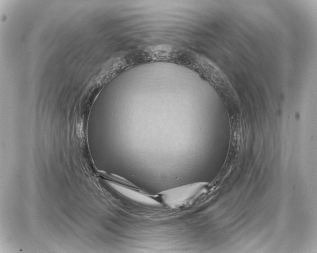 X0000087590610200705112305