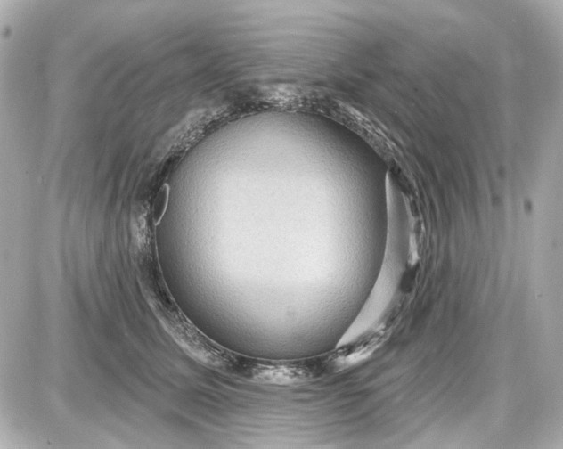 X0000087590611200705112305