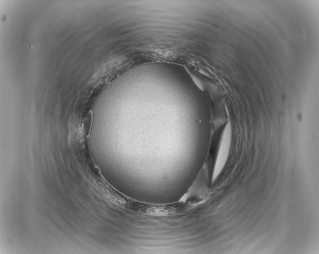 X0000087590613200705112305