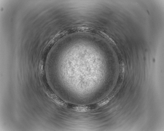 X0000087590615200705112305