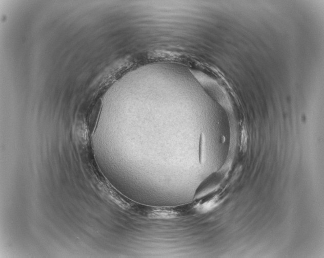 X0000087590617200705112305