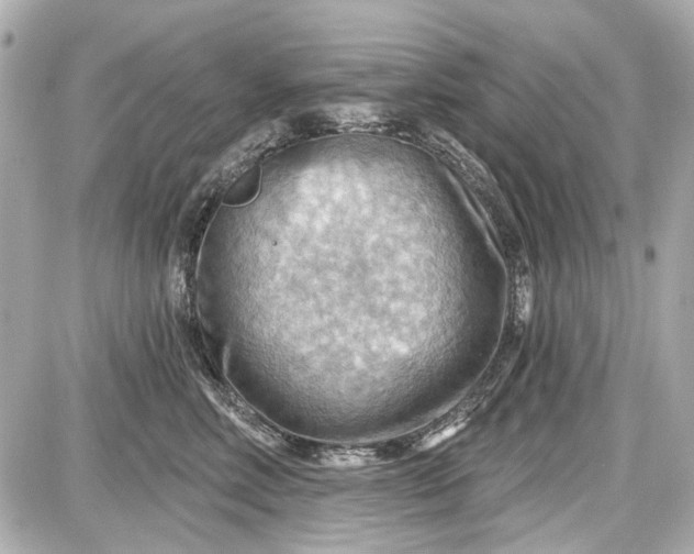 X0000087590618200705112305