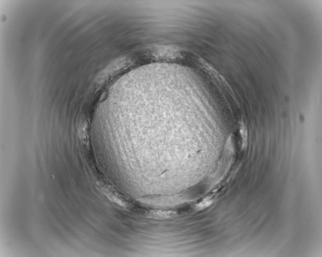 X0000087590619200705112305