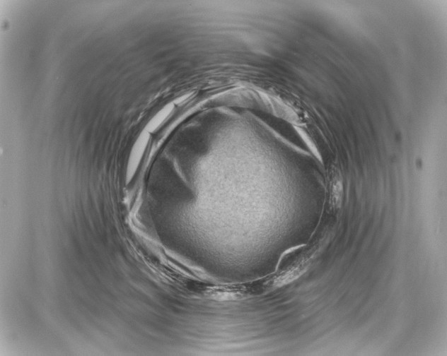 X0000087590620200705112305