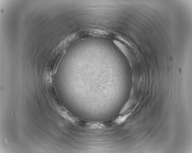 X0000087590621200705112305