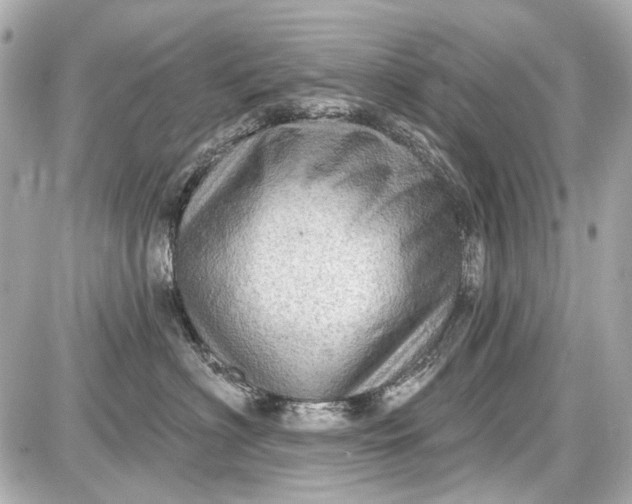 X0000087590622200705112305