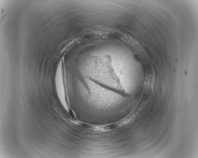 X0000087590623200705112305