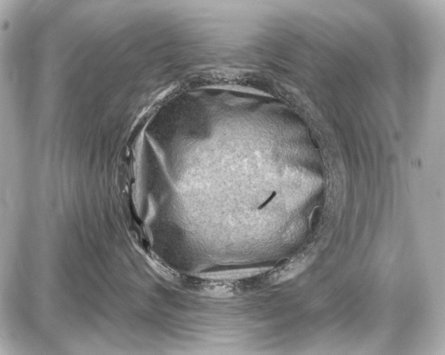 X0000087590624200705112305