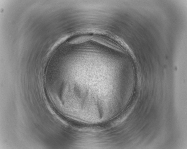 X0000087590625200705112304