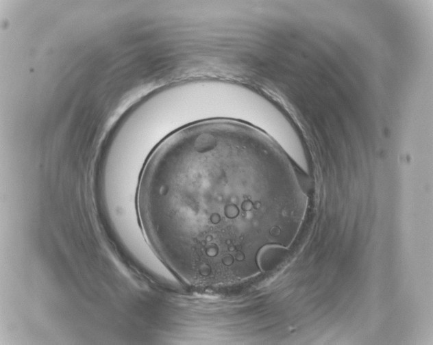 X0000087590626200705112304