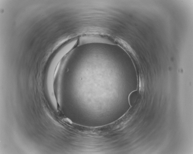 X0000087590627200705112304