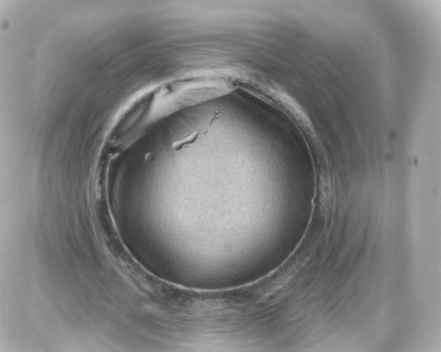 X0000087590628200705112304