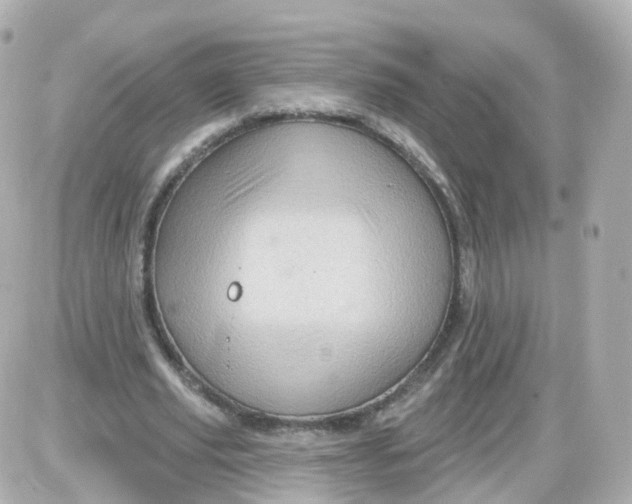 X0000087590629200705112304