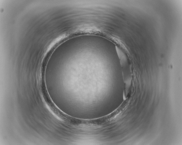 X0000087590630200705112304