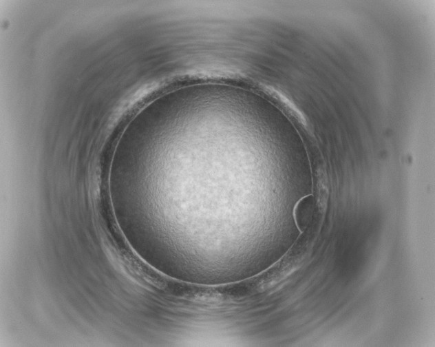 X0000087590631200705112304