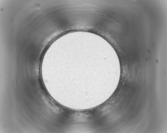 X0000087590632200705112304