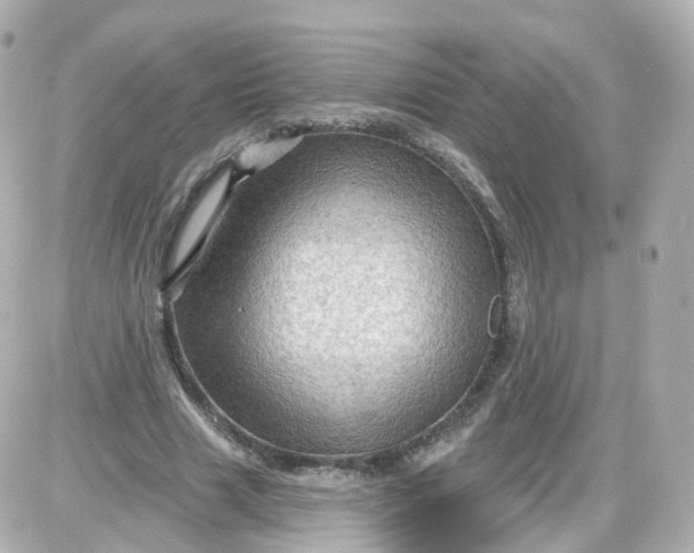 X0000087590633200705112304