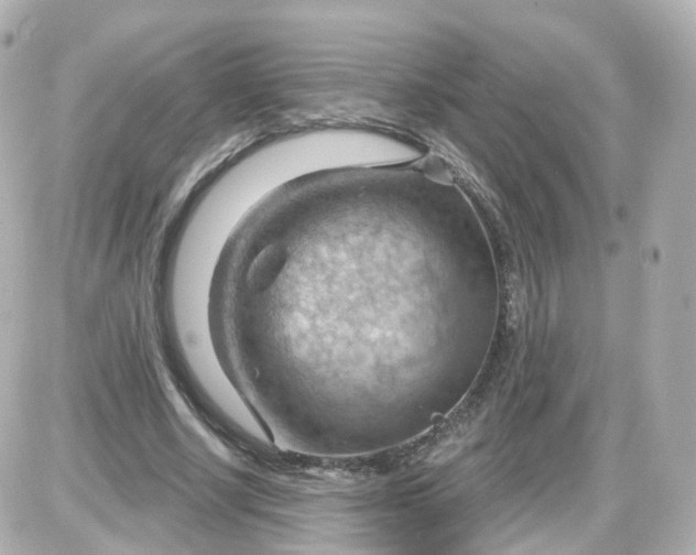 X0000087590634200705112304