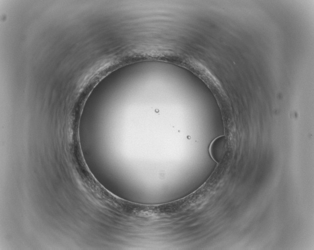 X0000087590635200705112304