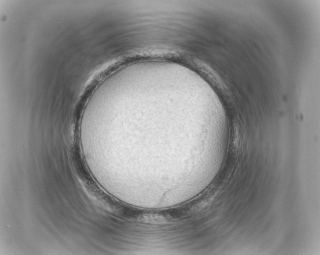 X0000087590636200705112304