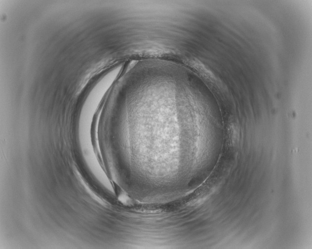 X0000087590638200705112304