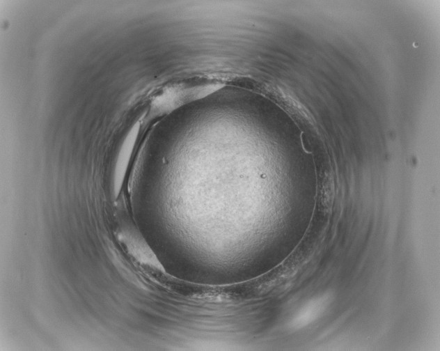 X0000087590639200705112304