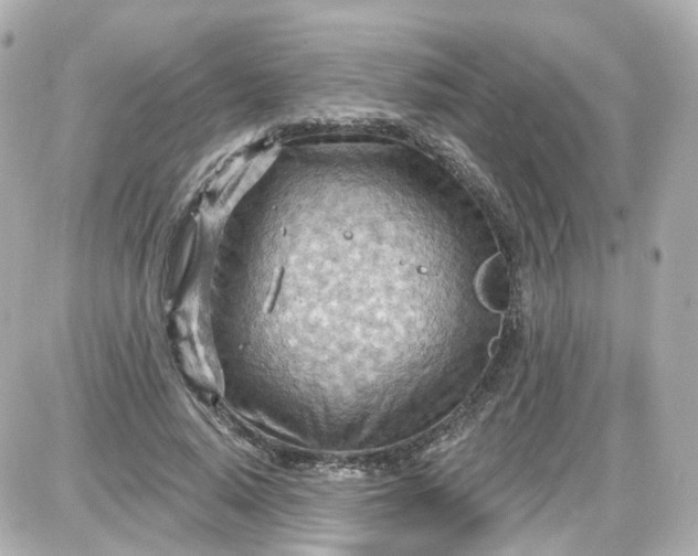 X0000087590640200705112304