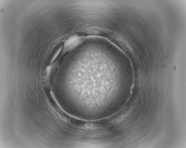 X0000087590641200705112304