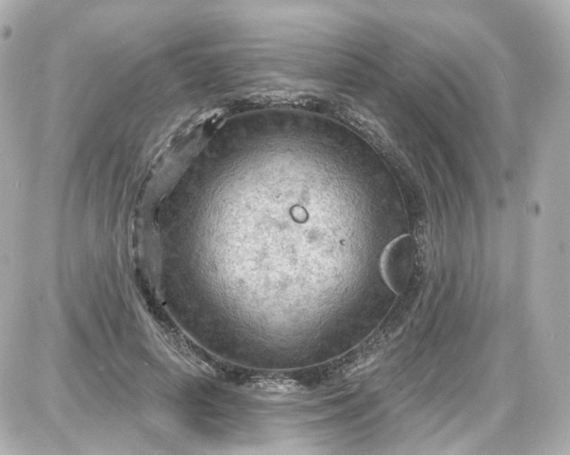 X0000087590642200705112304