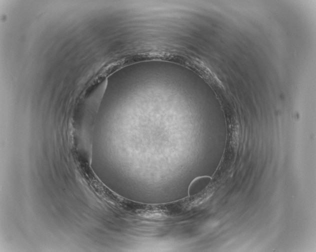 X0000087590643200705112304