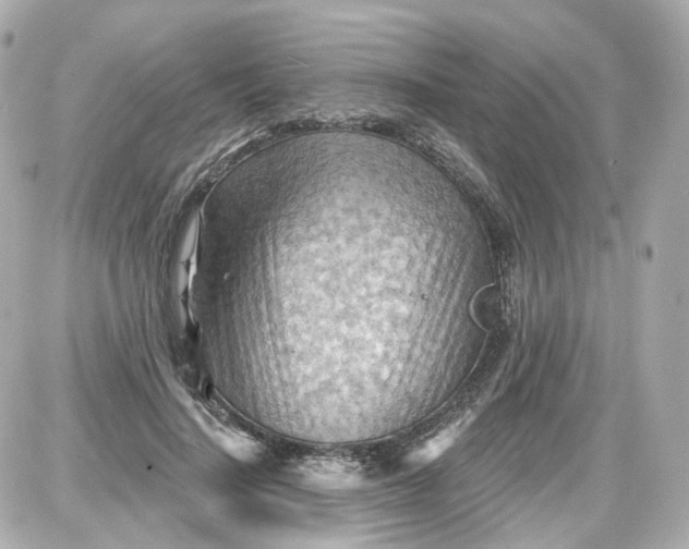 X0000087590644200705112304