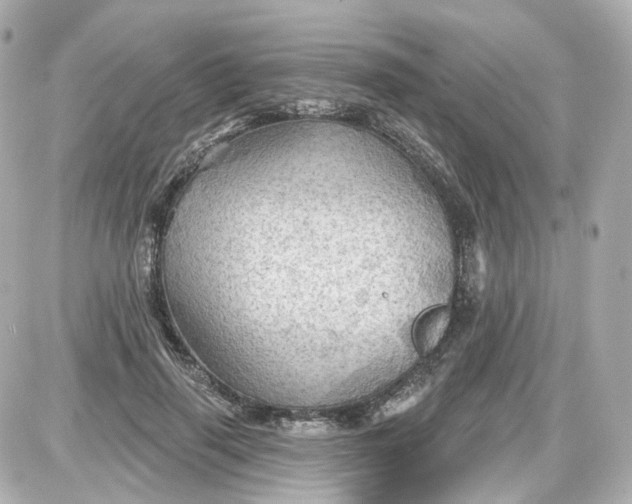 X0000087590645200705112304