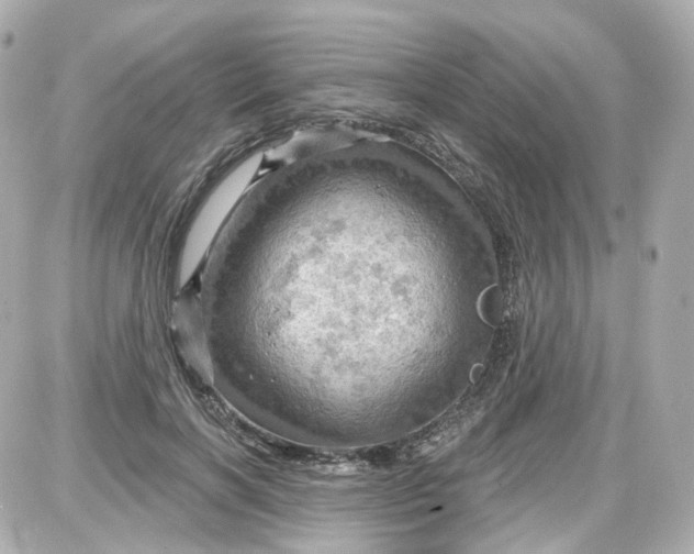 X0000087590646200705112304