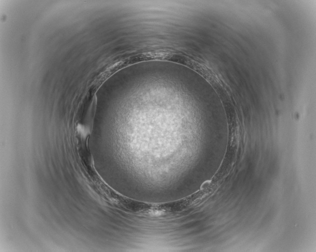 X0000087590647200705112304