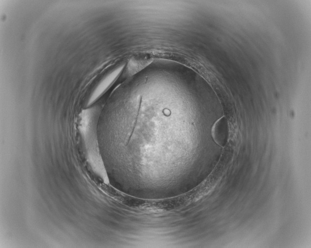 X0000087590648200705112304