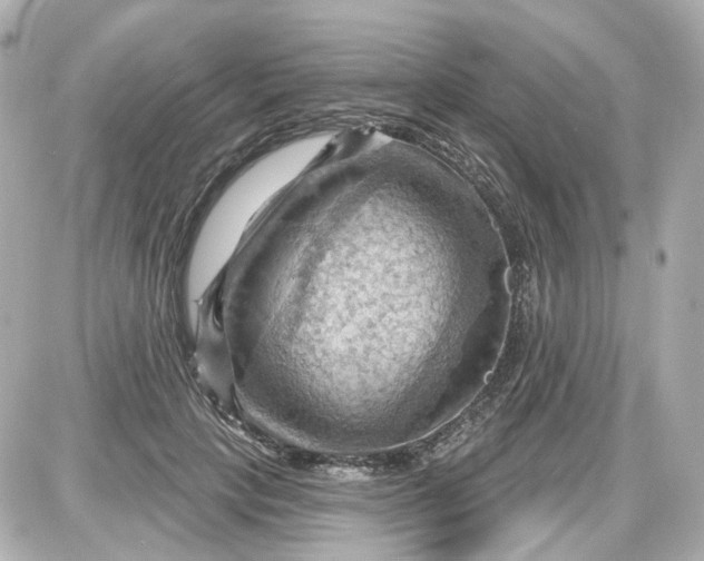 X0000087590649200705112304