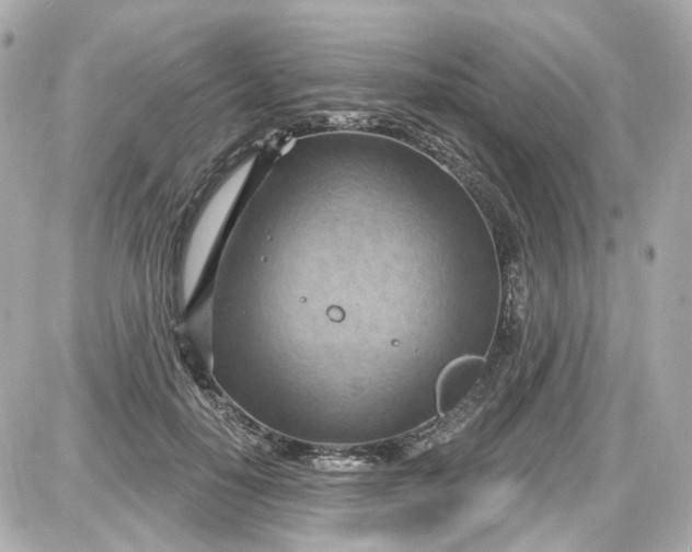 X0000087590650200705112304