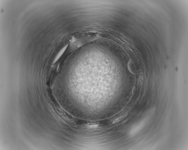 X0000087590651200705112304