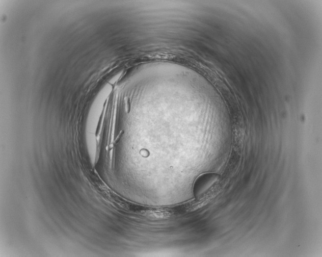 X0000087590652200705112304