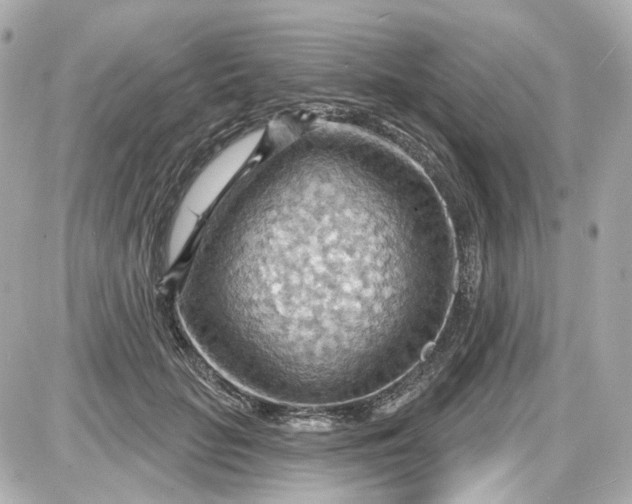 X0000087590653200705112304