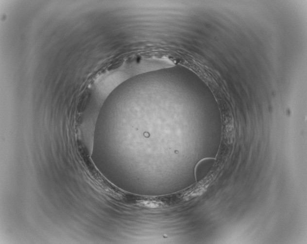 X0000087590654200705112304