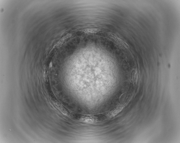 X0000087590655200705112304