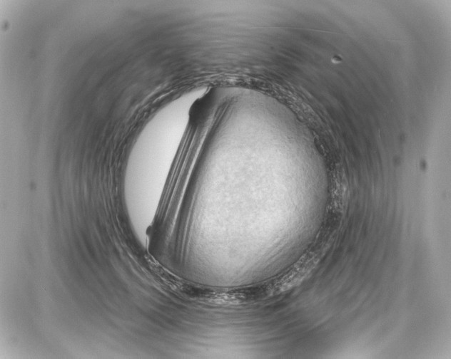 X0000087590656200705112304