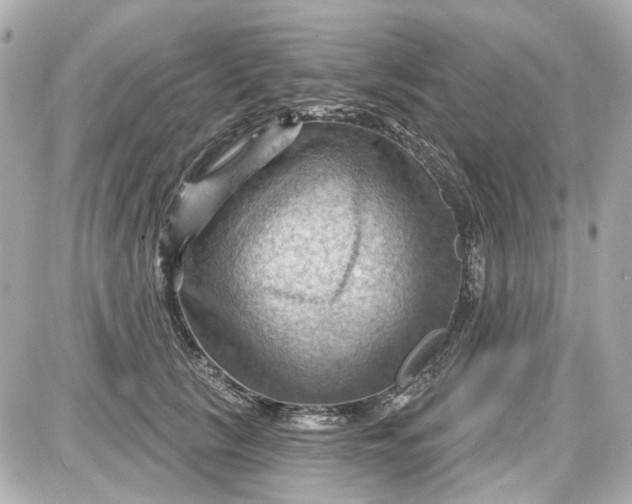 X0000087590657200705112304