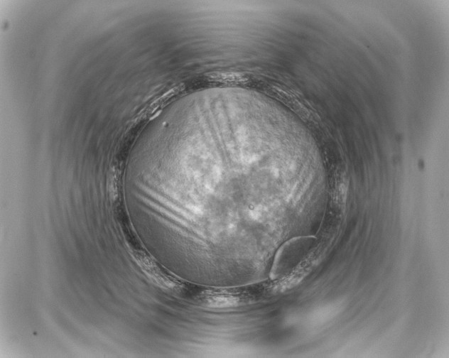 X0000087590658200705112304